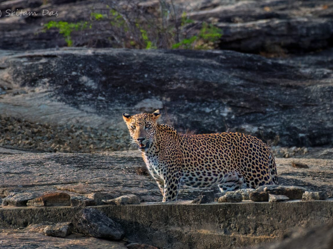 Menaka Safari-蒂瑟默哈拉默必去景点