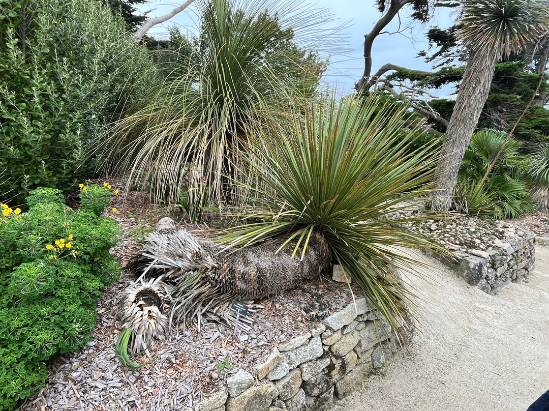 Jardin Georges Delaselle-Ile-de-Batz必去景点