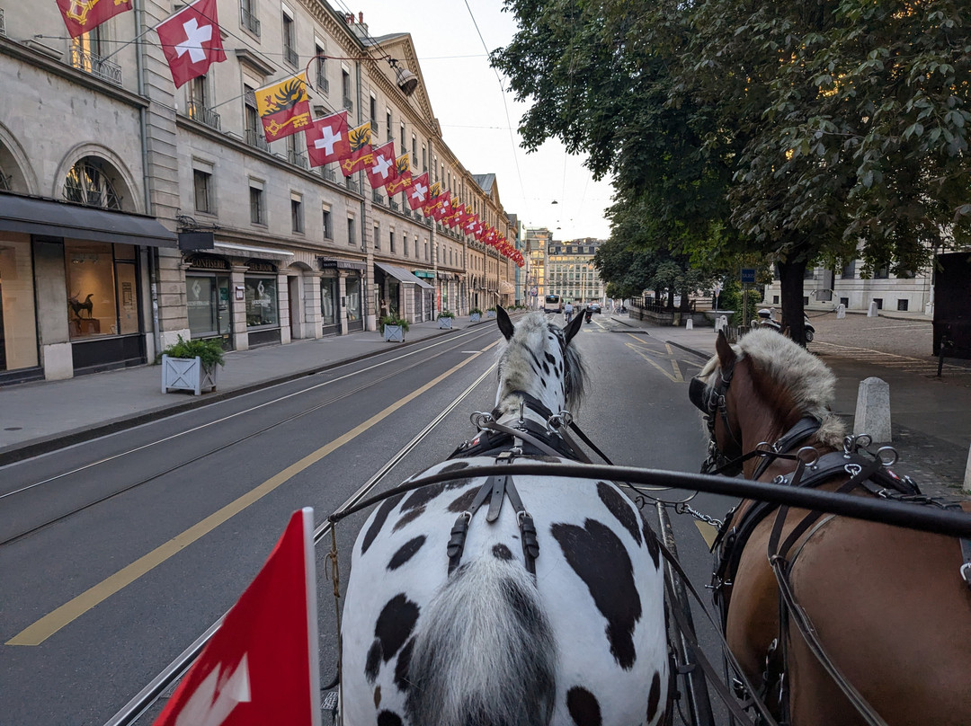 Les Attelages du Léman