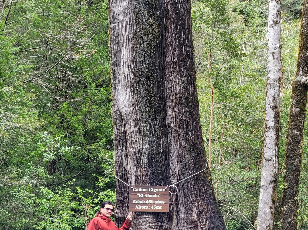 Salto El Leon-普孔必去景点