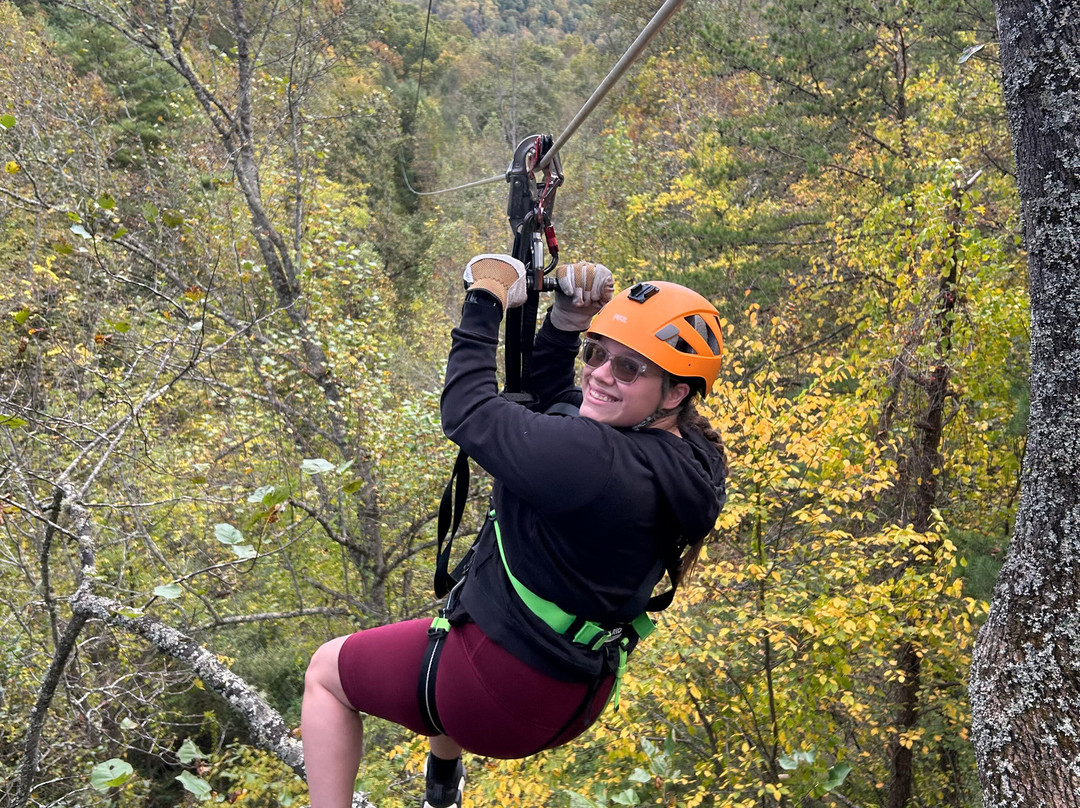 Navitat Canopy Adventures-Barnardsville必去景点
