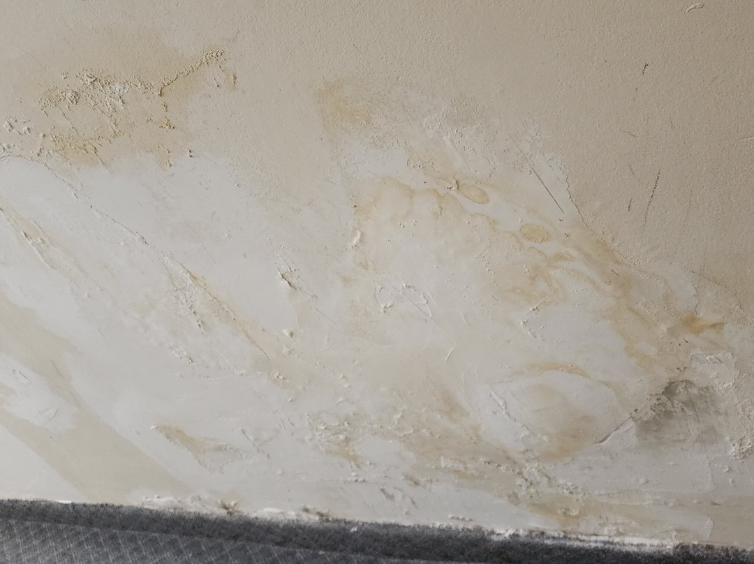 Hotel Carlos V主图