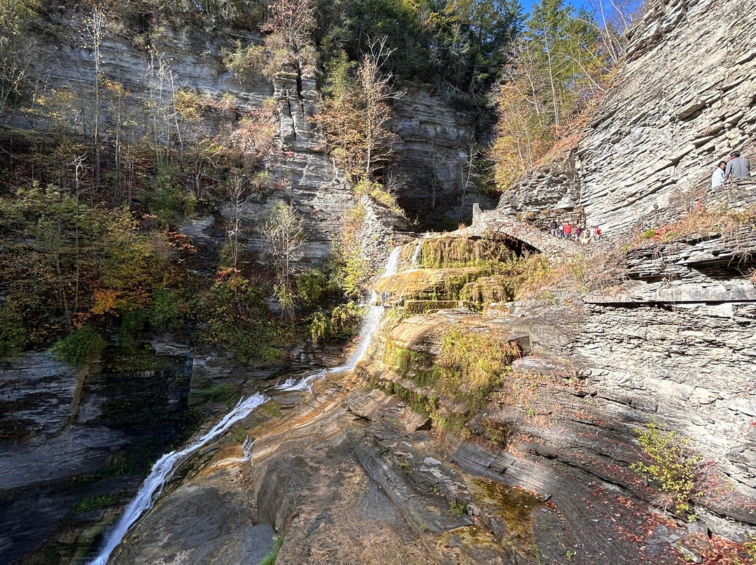 Robert Treman State Park-伊萨卡必去景点