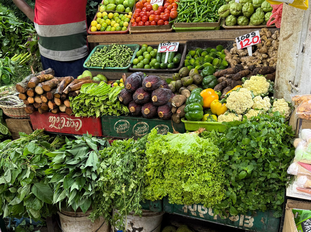 Sri Lanka Tours With Chamara-乌纳瓦图纳必去景点