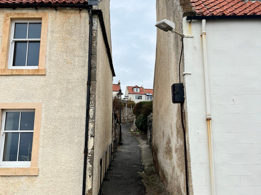 Pittenweem Harbour-Pittenweem必去景点