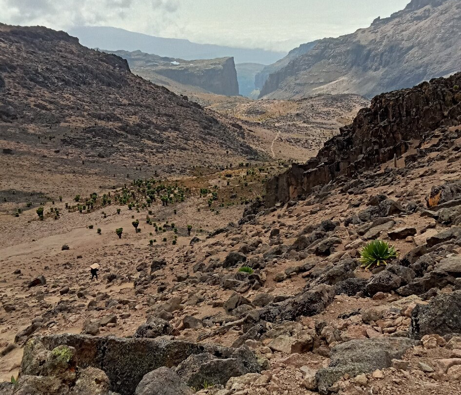 Mt. Kenya Explorer Safaris-Chogoria必去景点