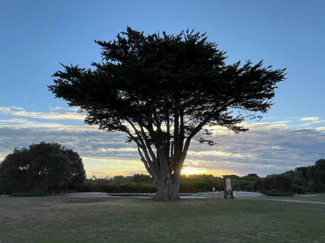 Pioneer Fountain-阿波罗湾必去景点