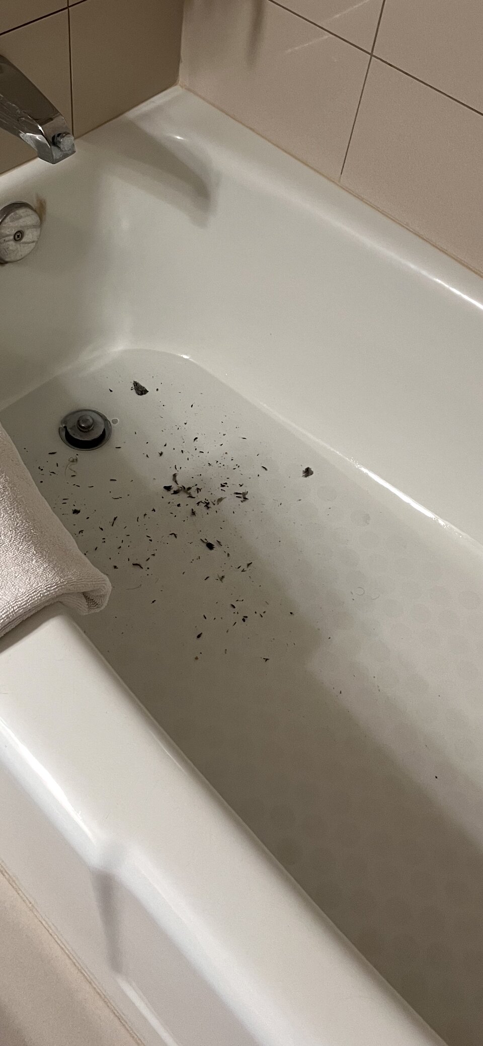 伯班克媒体中心假日酒店-浴室