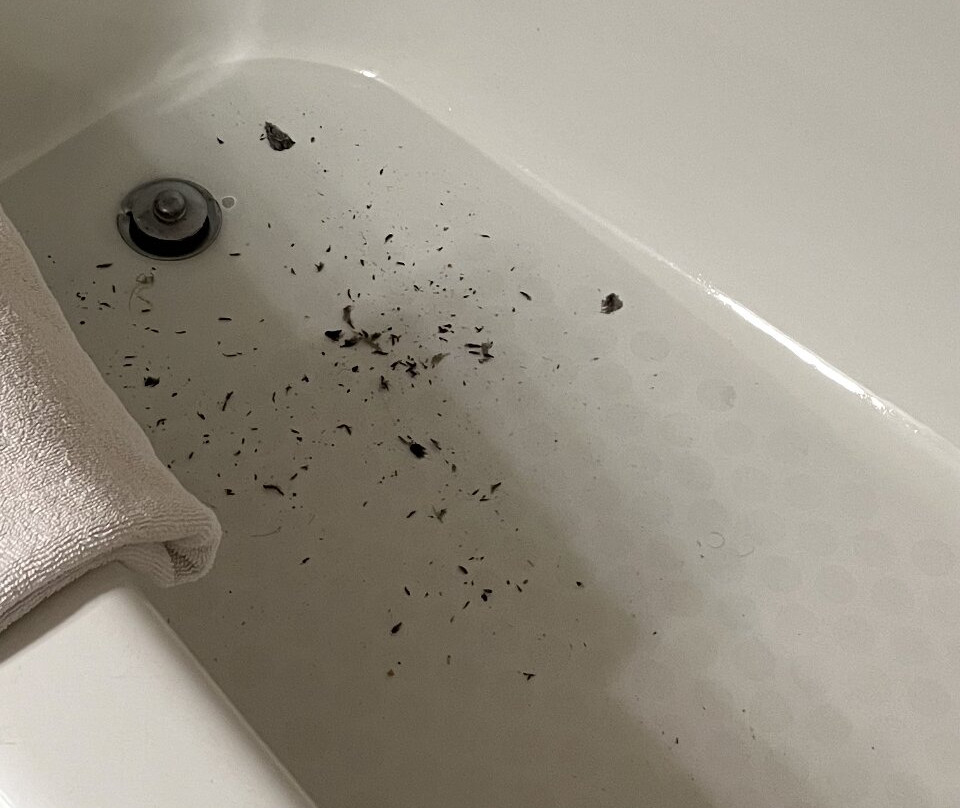 伯班克媒体中心假日酒店主图