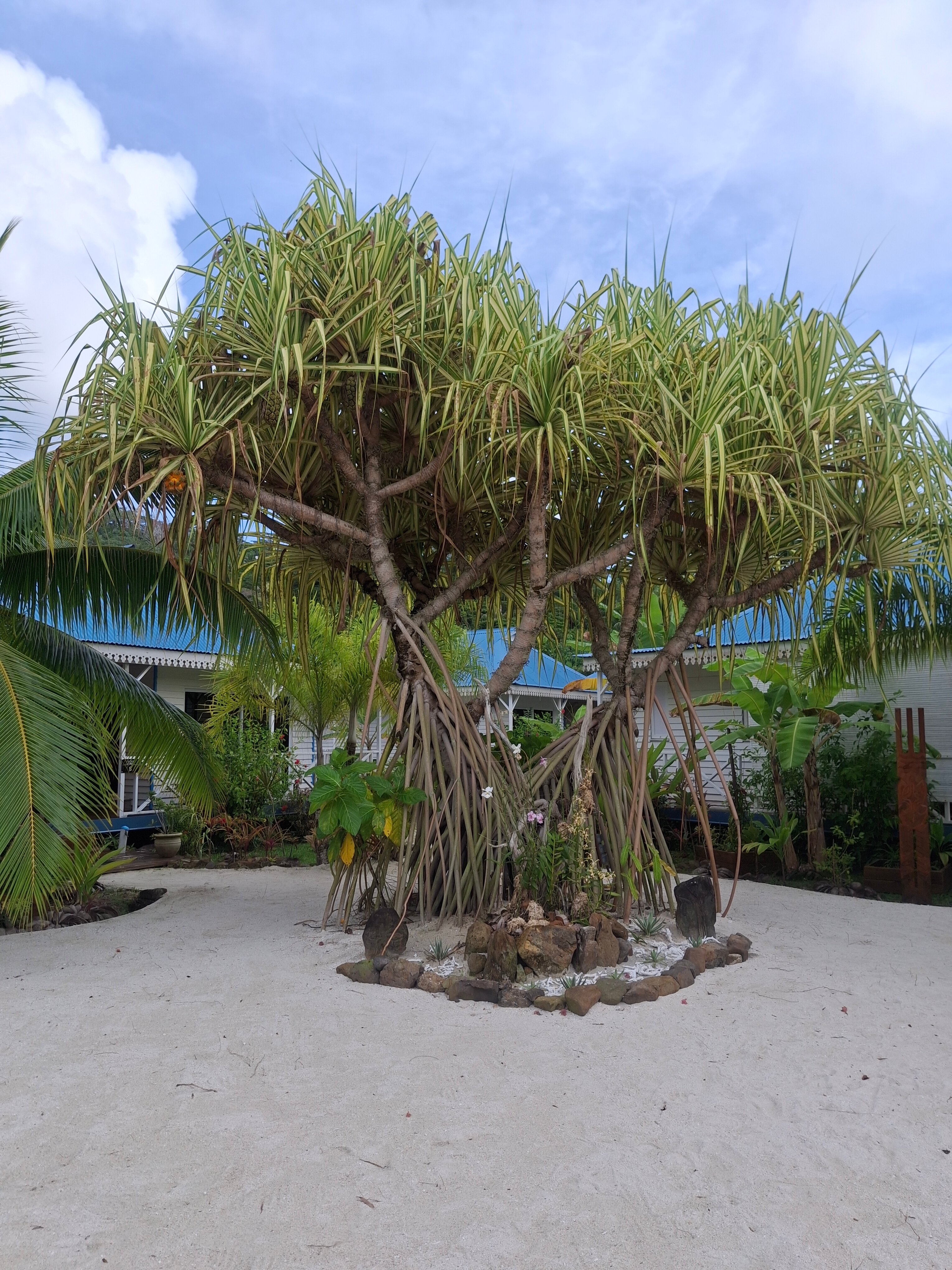 Opoa Beach Hotel-浴室