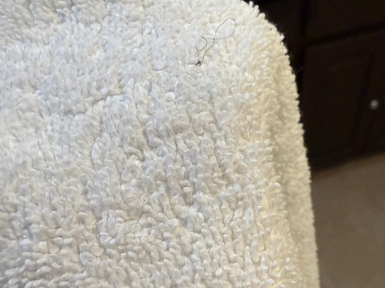 Comfort Inn & Suites Lake Norman主图