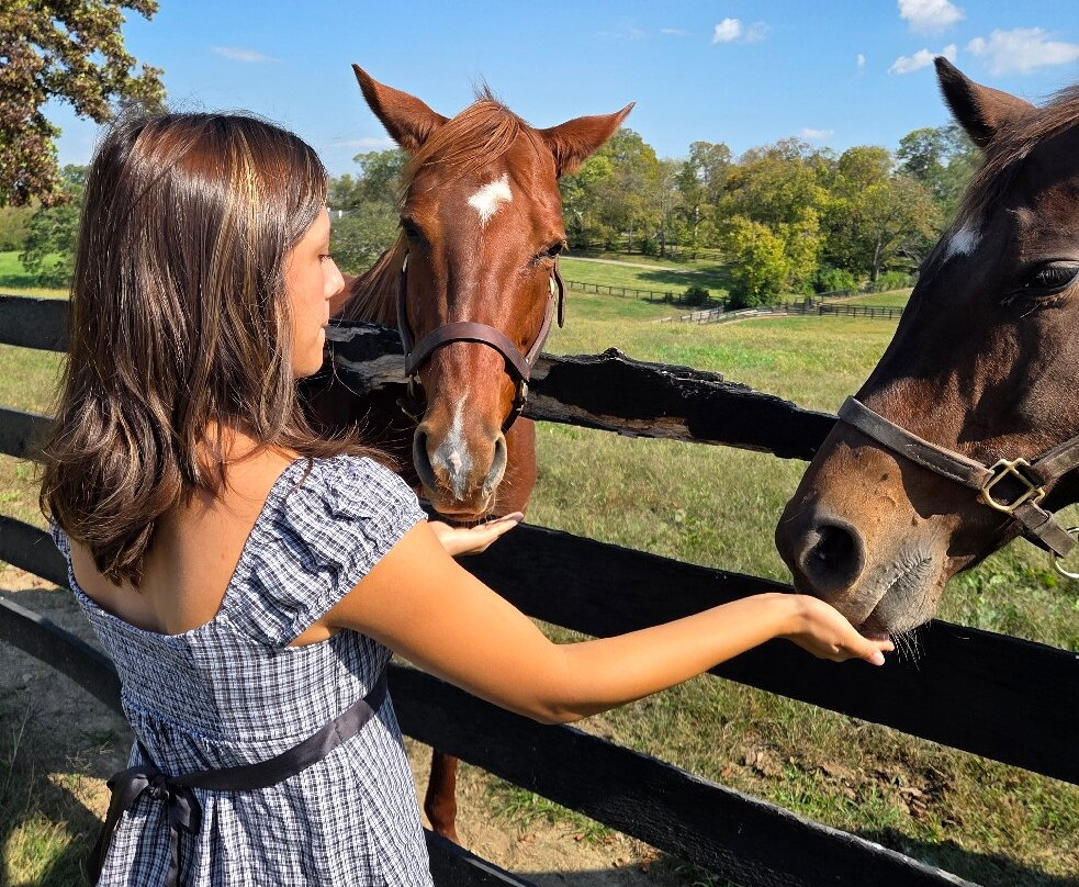 Mill Ridge Farm-列克星敦必去景点