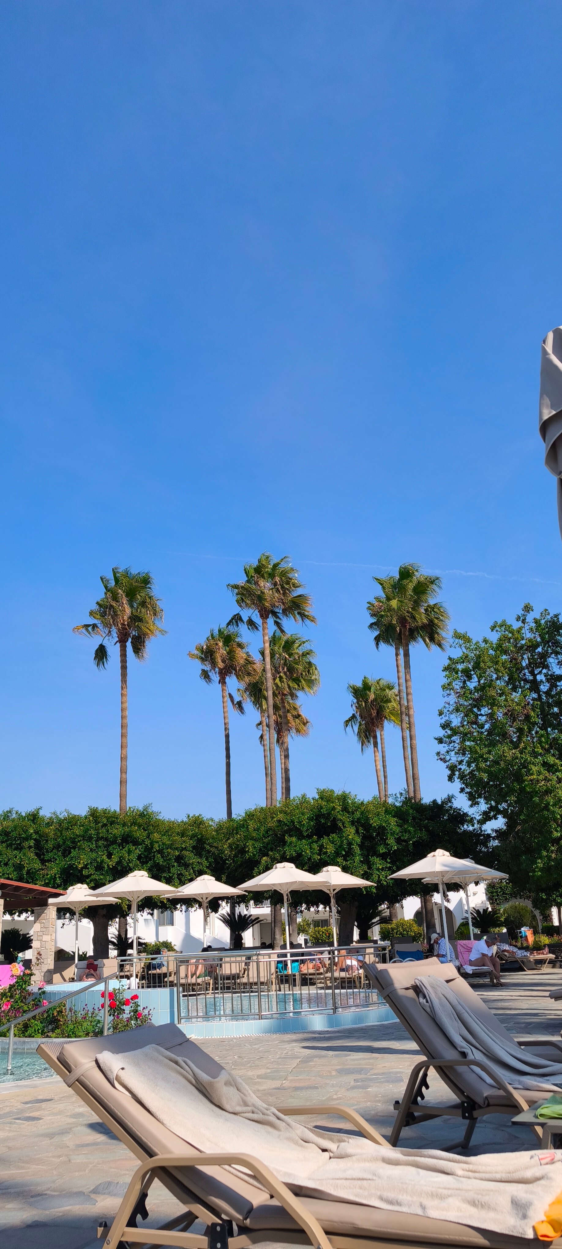 Palladium Hotel-官方