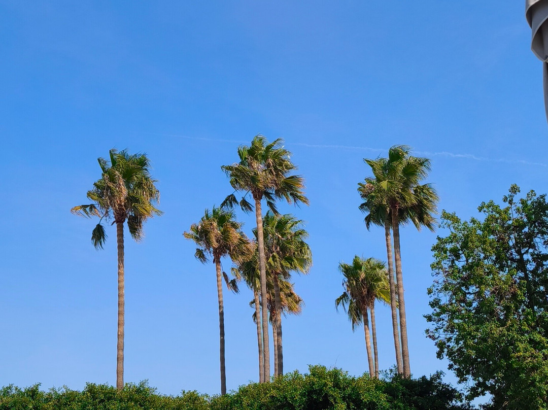 Palladium Hotel主图