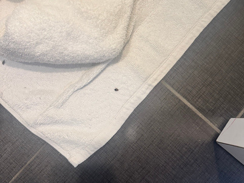 塔拉哈西中心特鲁希尔顿酒店主图