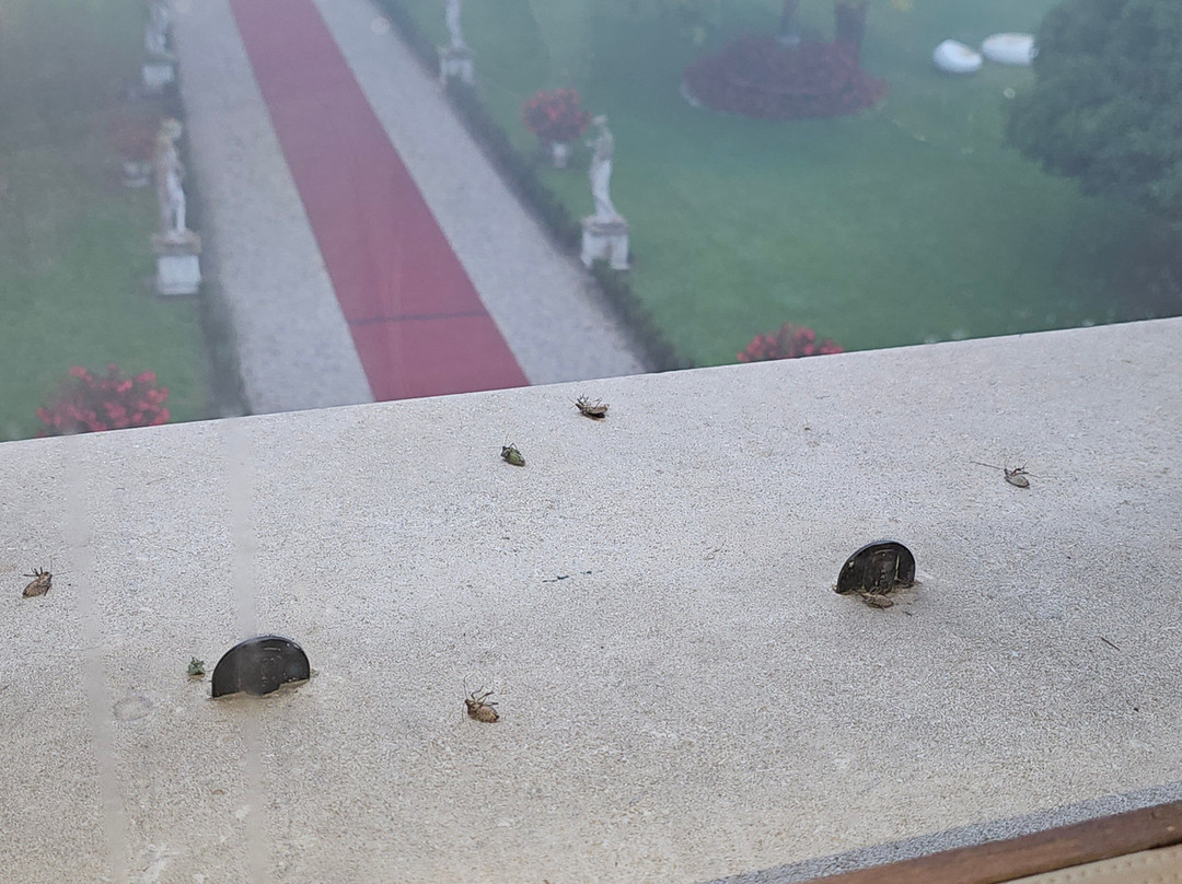 布拉伊达别墅酒店主图