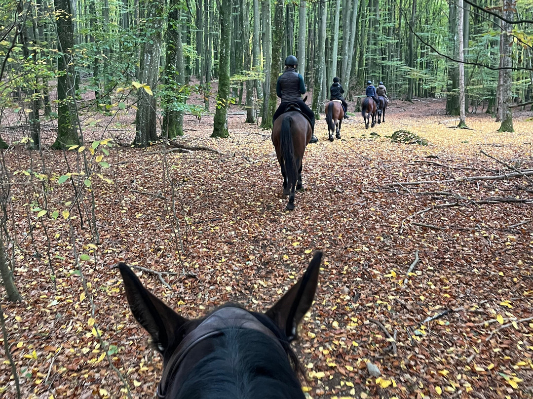 Tostarp Bed'n Ride-Ljungbyhed必去景点