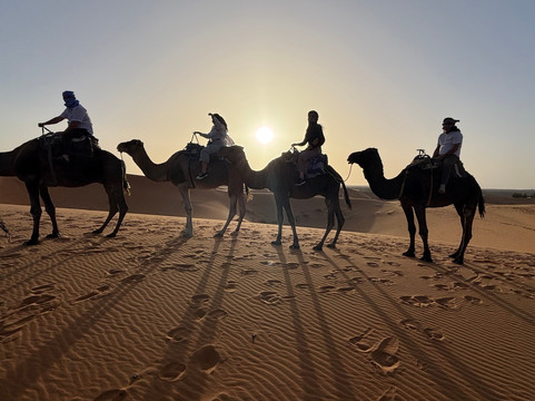 CamelTours-梅如卡必去景点