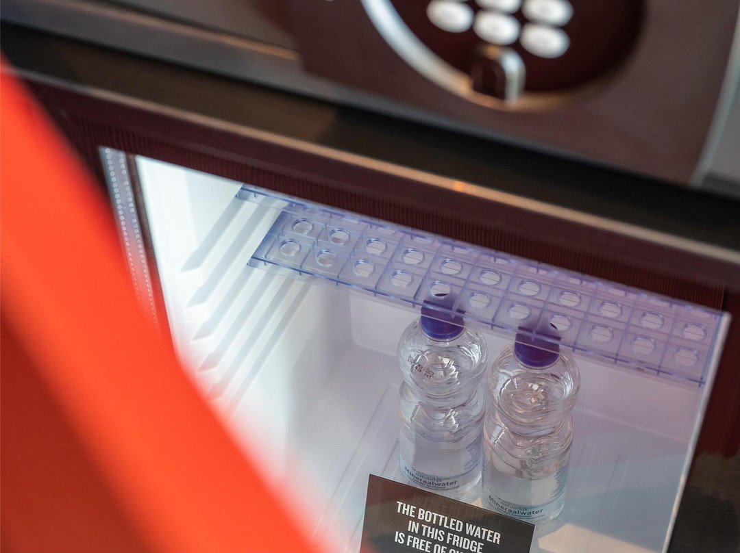 阿姆斯特丹市雅高芮族酒主图