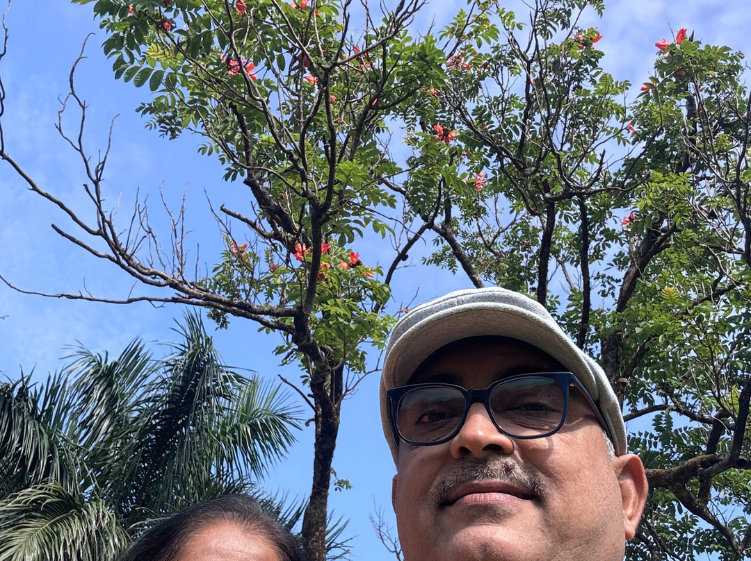 MPT Satpura Retreat, Pachmarhi主图