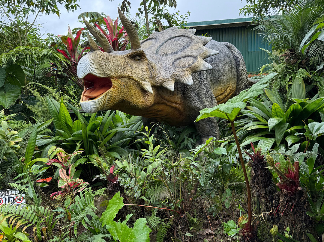 Catarata Río Agrio-Bajos del Toro必去景点