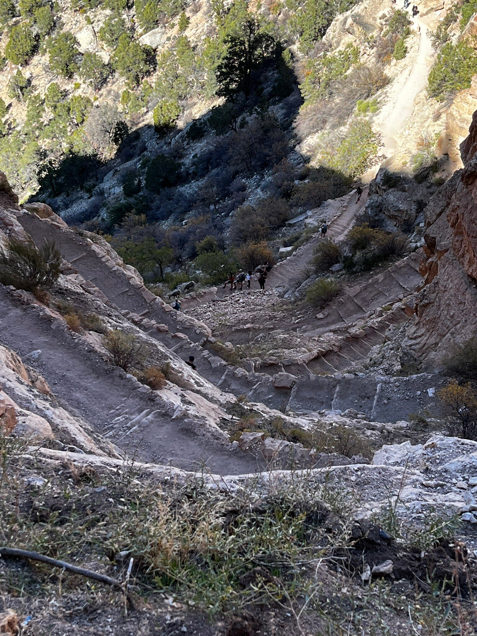 玛斯威克旅馆-官方