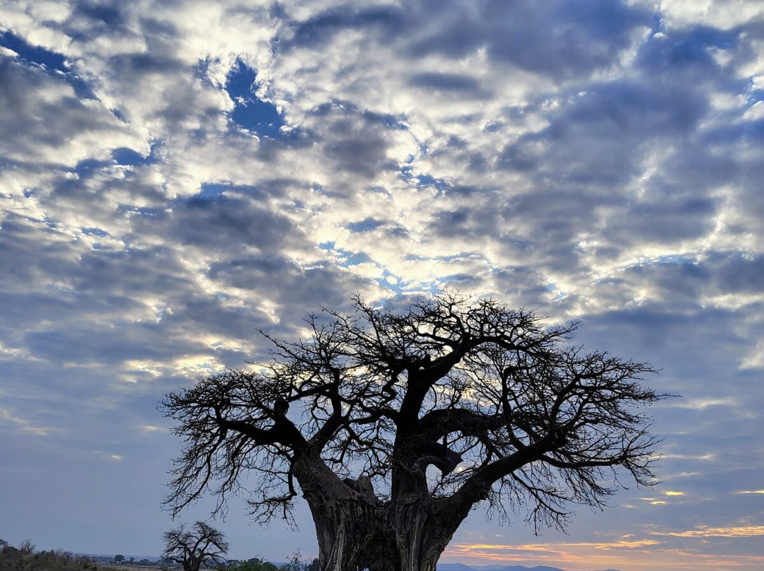 Sam safari & tours-Iringa必去景点