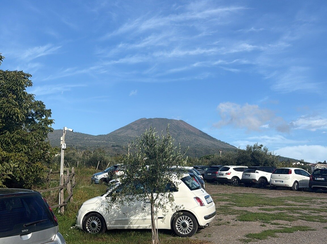 Fattoria Valle del Vesuvio-埃尔科拉诺必去景点