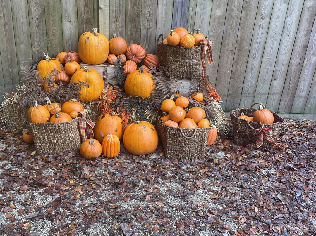 Luggwoods-Saggart必去景点