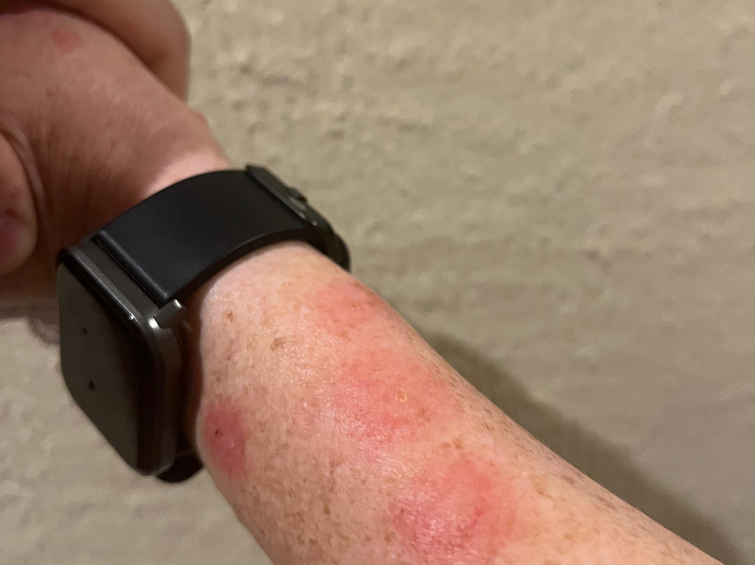 Hotel Termes La Garriga主图