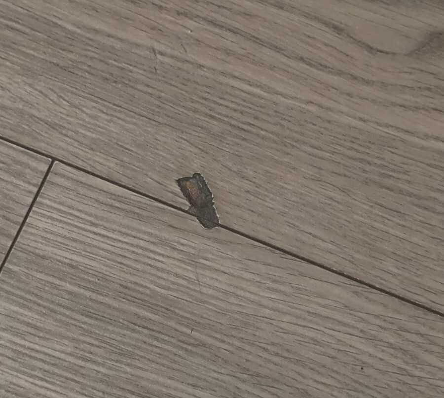 Holiday Garden Resort主图