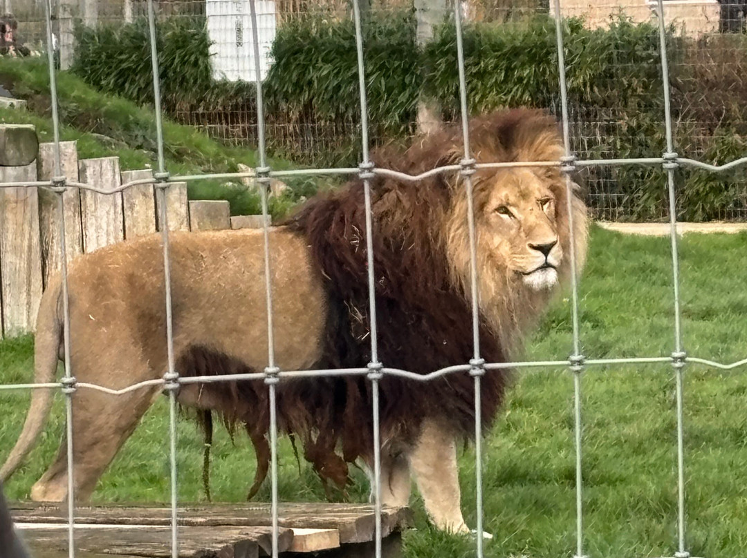 Wolds Wildlife Park-Horncastle必去景点