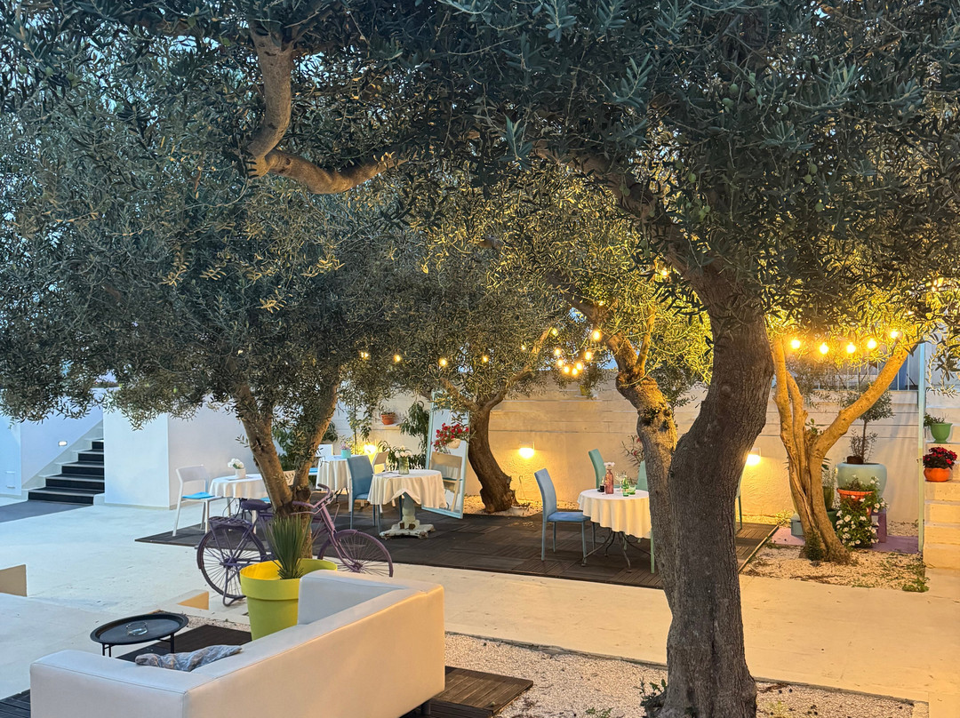 Monvidal Residence Guesthouse主图