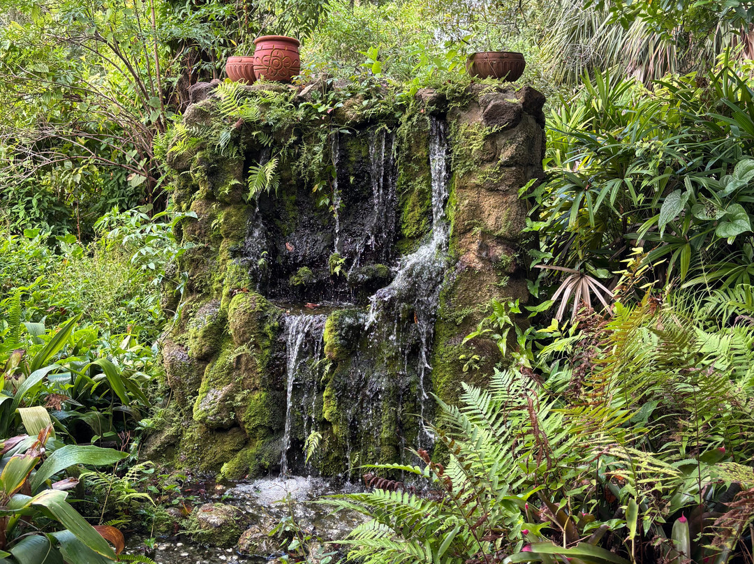 Weeki Wachee Springs-Weeki Wachee必去景点