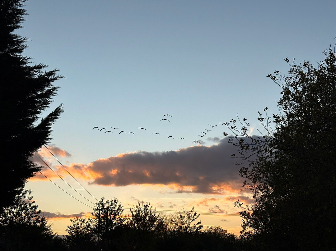 Tattershall Lakes Country Park-Tattershall必去景点