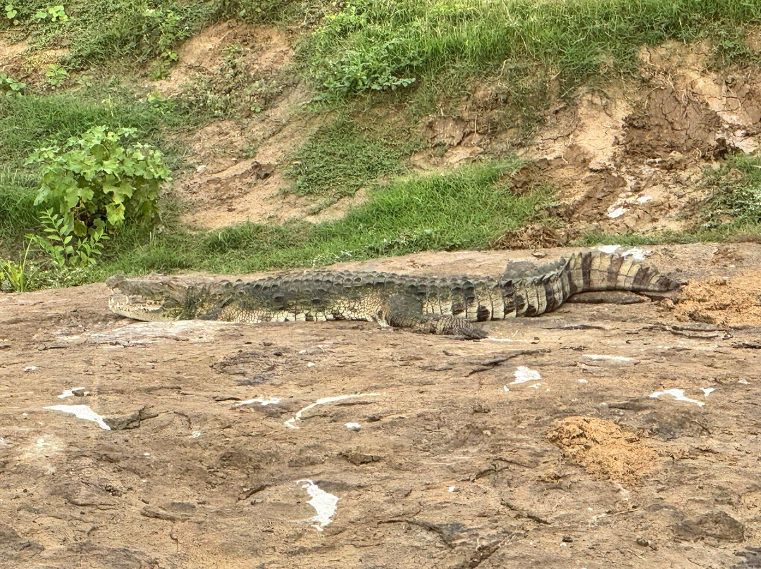 Udawalawe Safari Kingdom-乌达瓦拉瓦必去景点