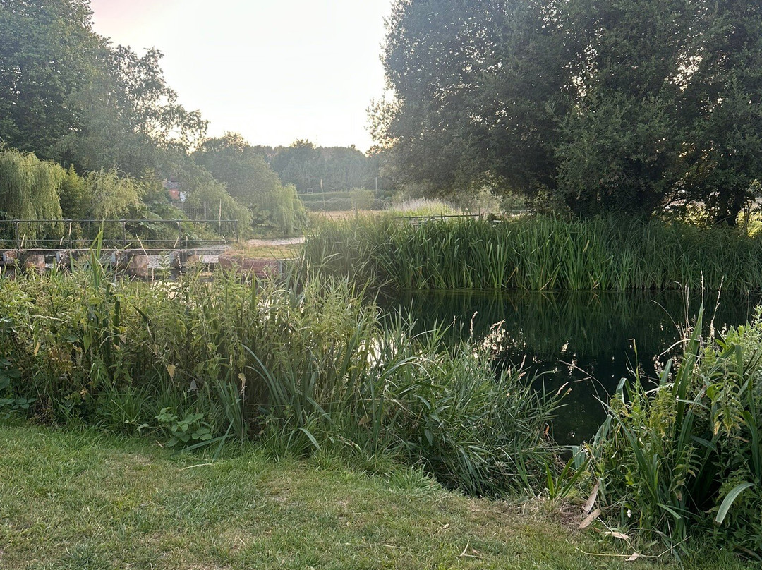Upstream Dry Fly-Stockbridge必去景点