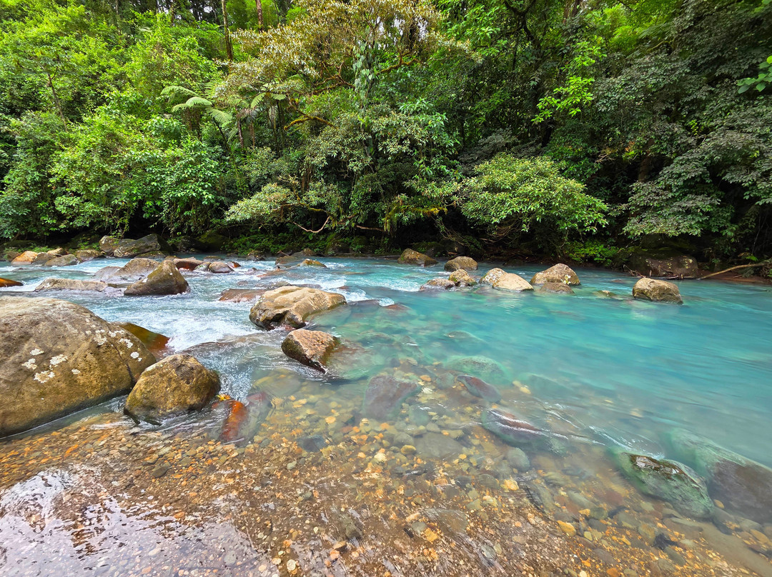 Matt's Fishing & Tours-萨迪纳尔必去景点