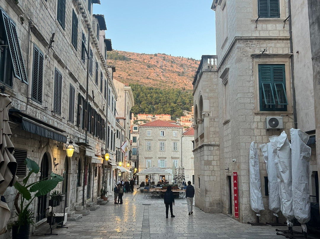 Premier Travel Chauffeurs Ltd