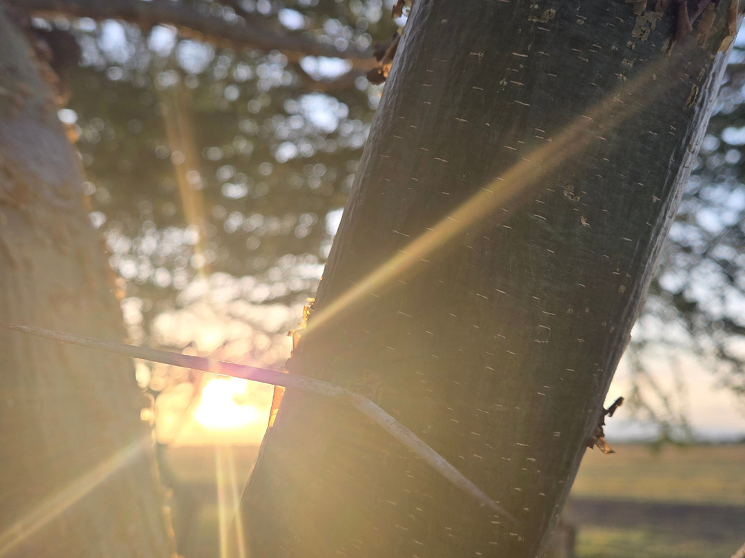 African Horizons-内罗毕必去景点