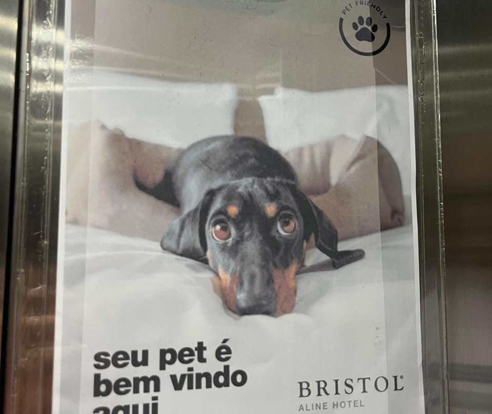 Bristol Aline Hotel主图