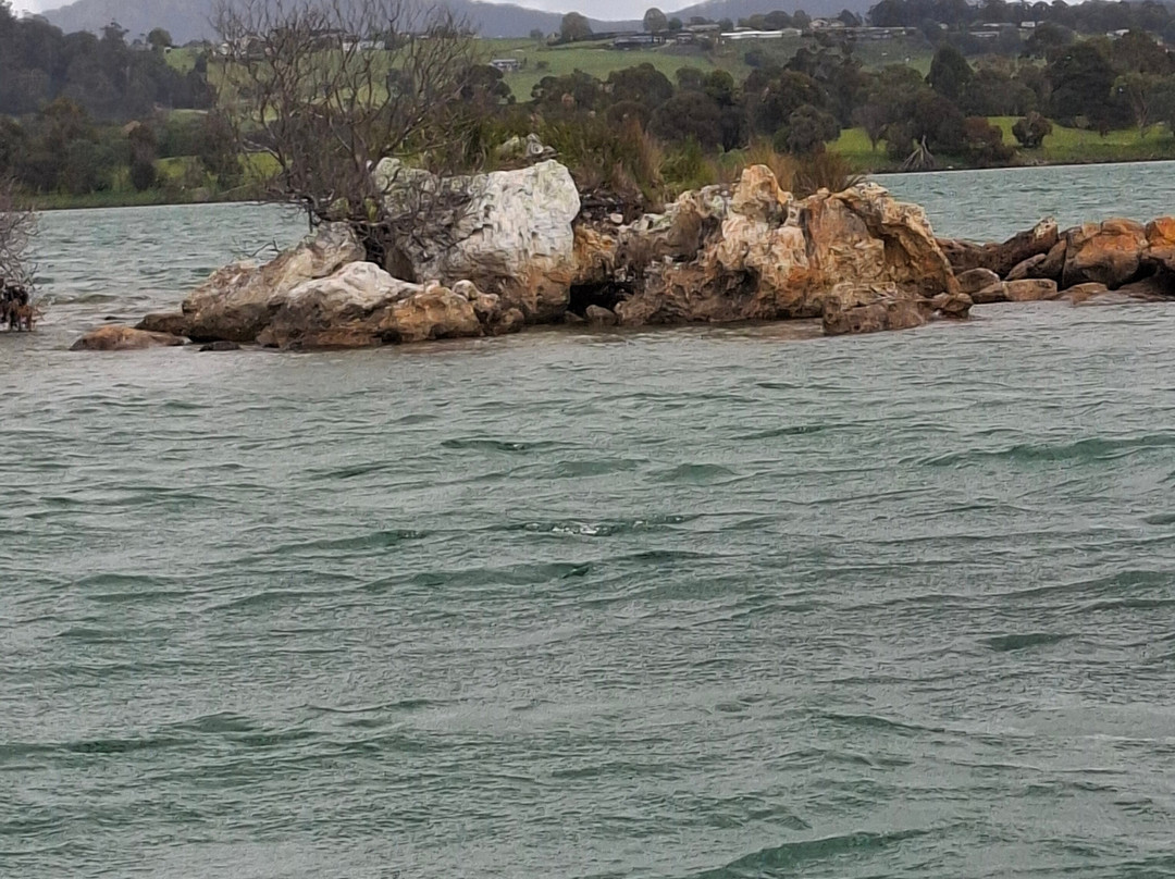 Leven River Cruises-Ulverstone必去景点