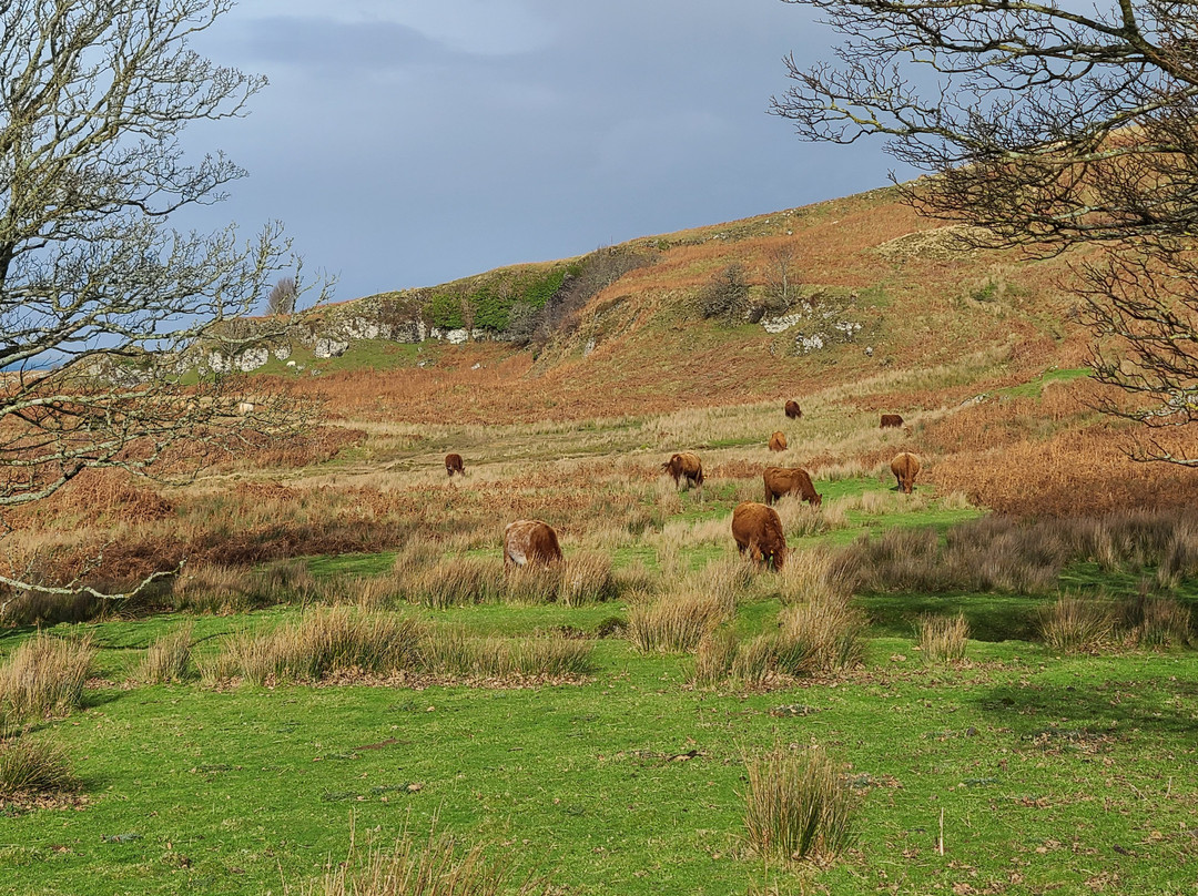 Isle of Kerrera-The Hebrides必去景点