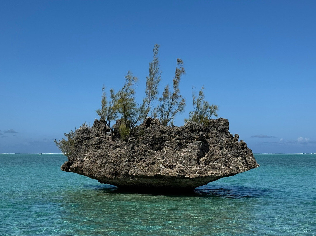 Freedom Cruises-弗力克昂弗雷克必去景点