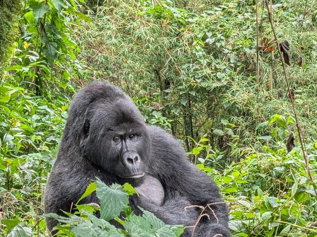 Katona Tours and Travel-吉佳利必去景点