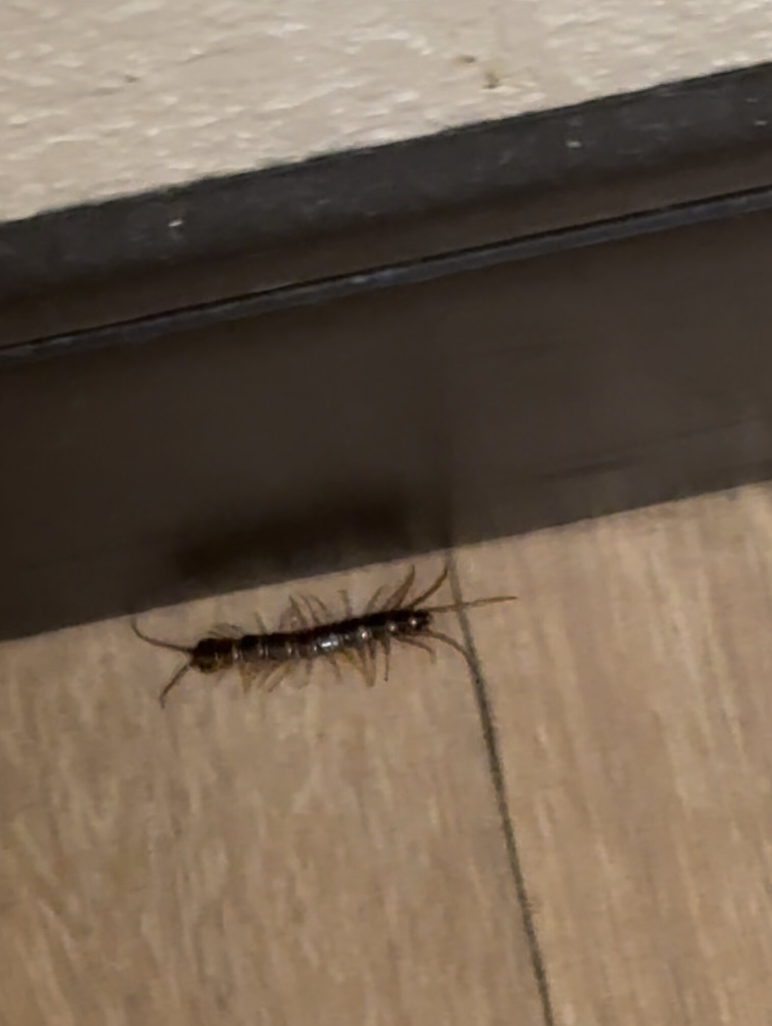 Red Roof PLUS+ West Springfield-浴室