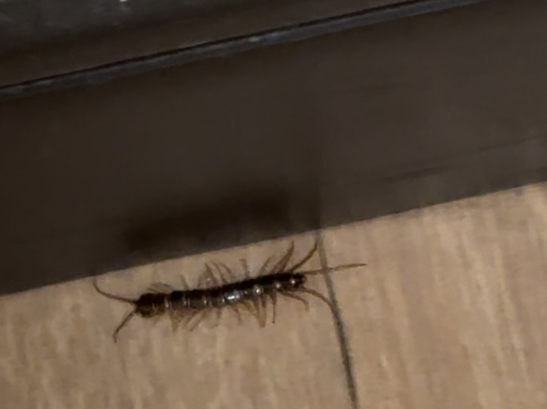 Red Roof PLUS+ West Springfield主图