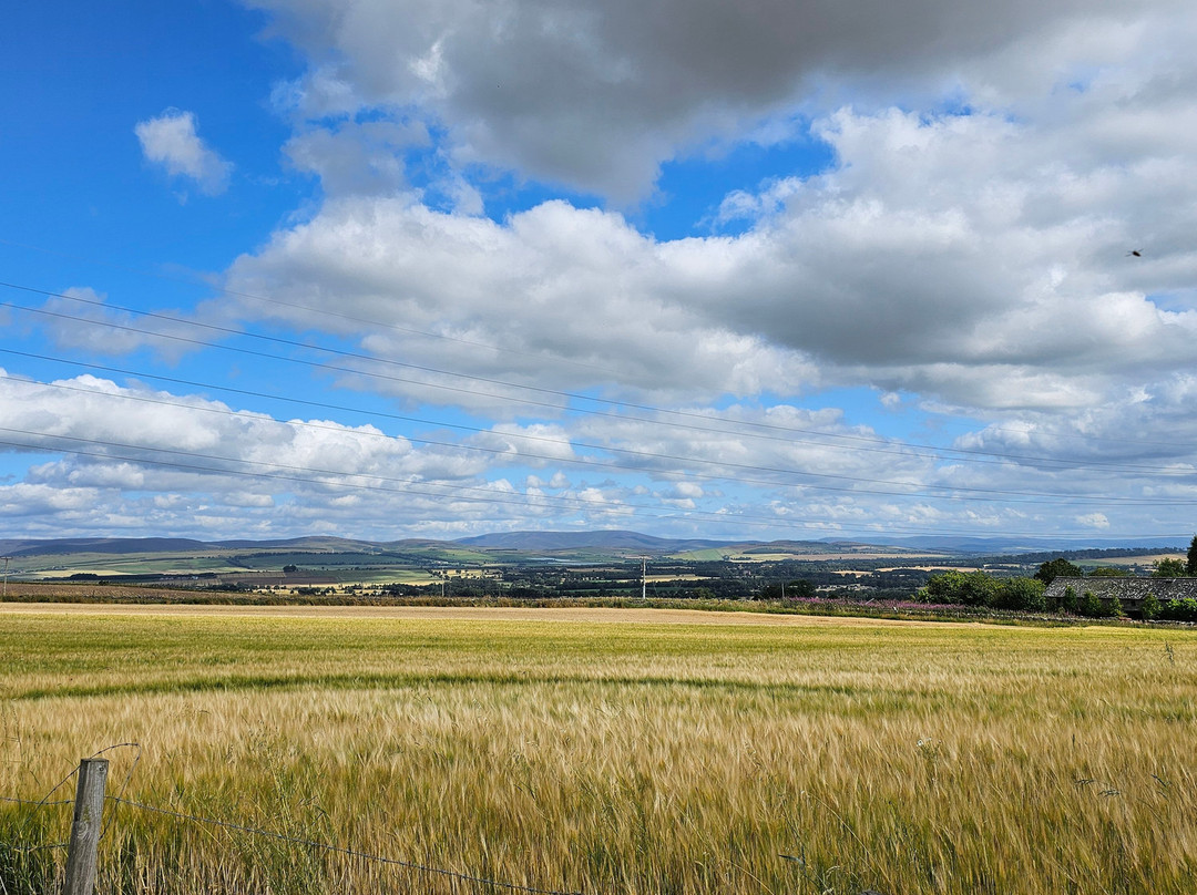 Aberlemno Sculptured Stones-Aberlemno必去景点