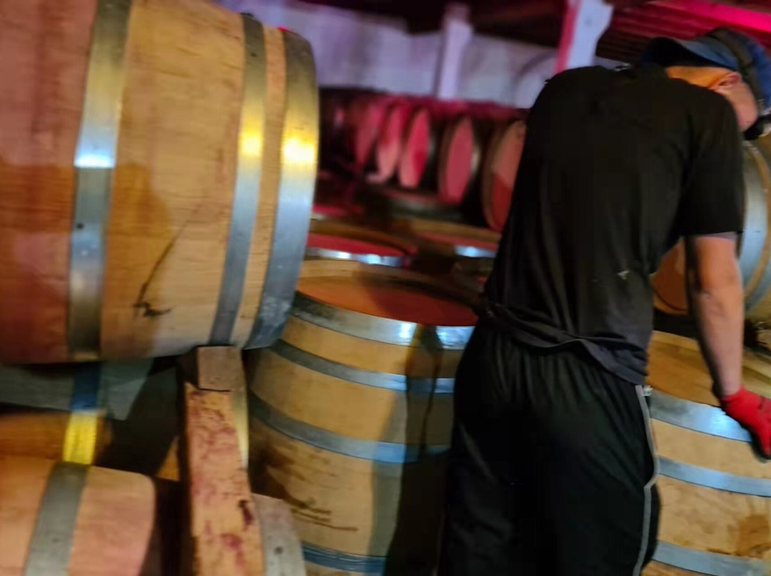 Château Dauphiné-Rondillon