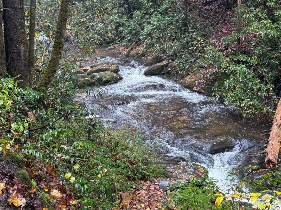 Hemlock Falls Trail-Clarkesville必去景点